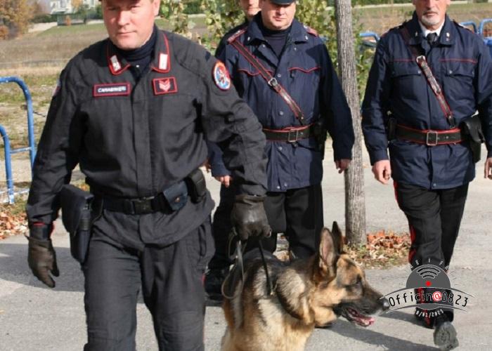carabinieri unita cinofila