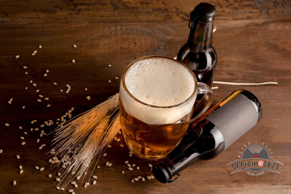 FESTA DELLA BIRRA