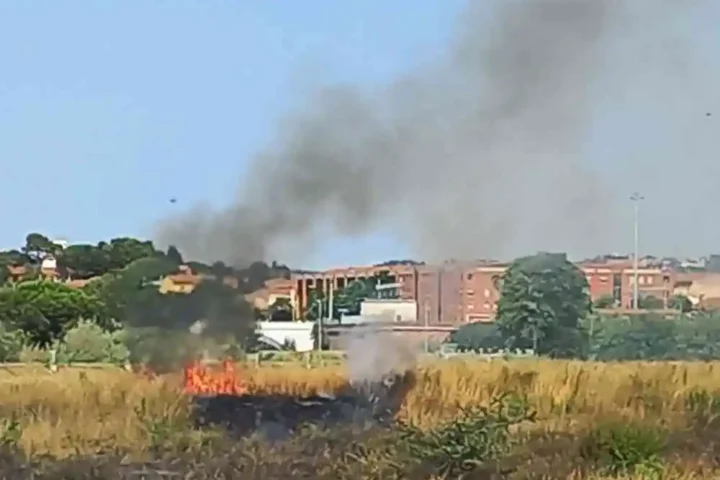 incendio repertorio
