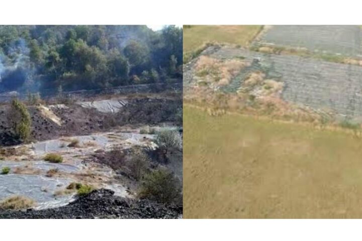 la selva e cotoniera