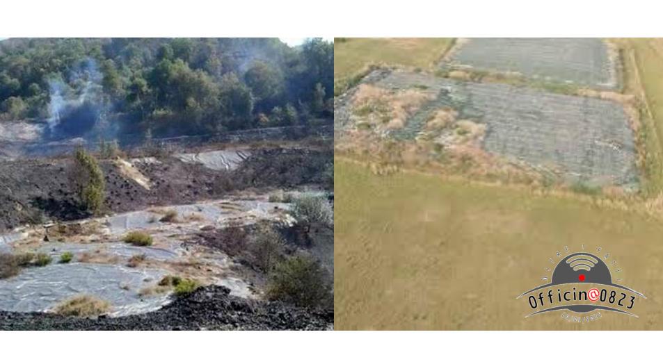 la selva e cotoniera