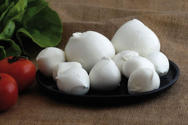 mozzarella