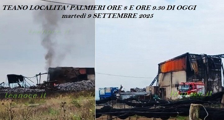 Ripresa focolaio loc. Palmieri 9925 CE