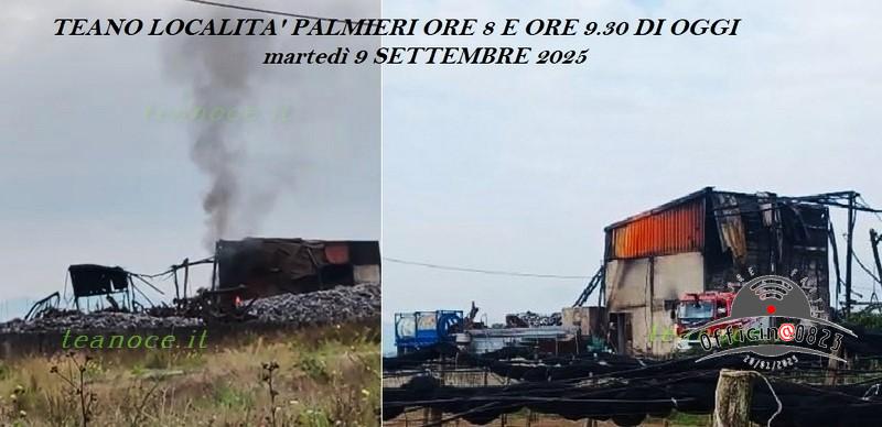 Ripresa focolaio loc. Palmieri 9925 CE
