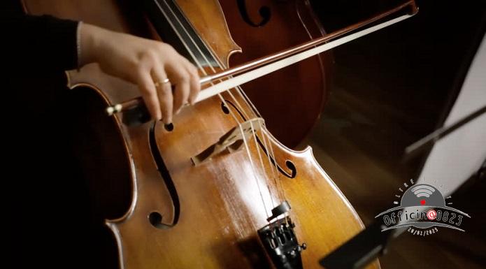 violoncello
