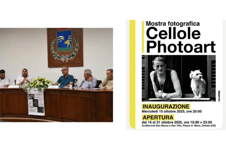 CELLOLE PHOTOART
