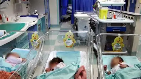 PUNTI NASCITA