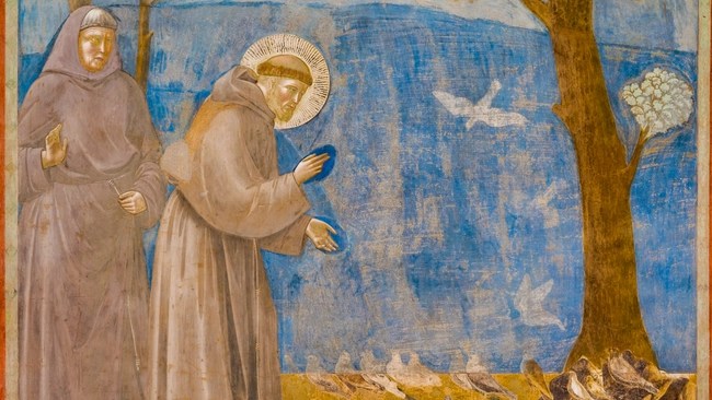 S. Francesco