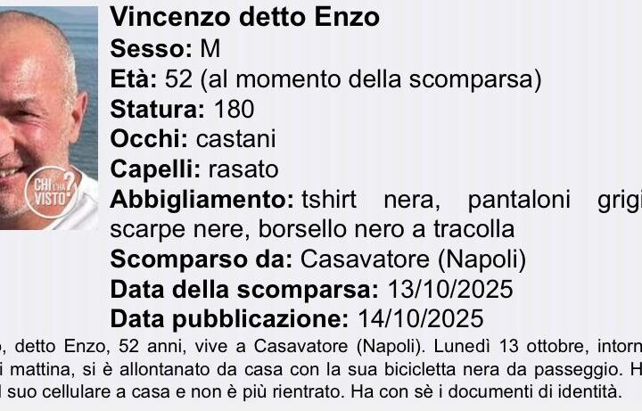 enzo