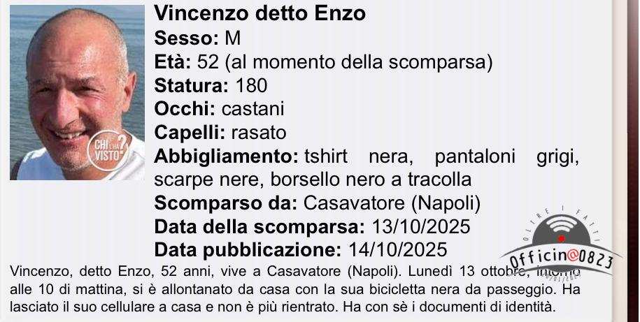 enzo