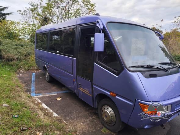 bus