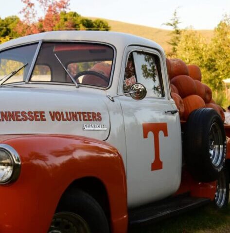 giardino delle zucche