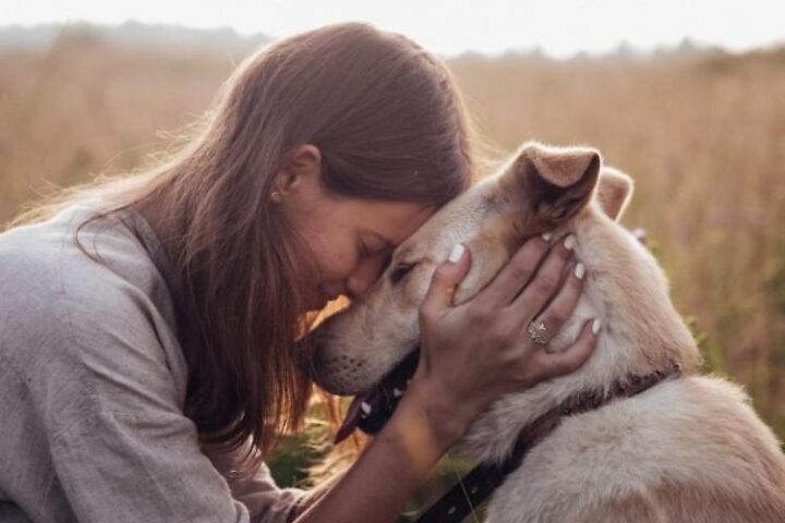 cane e padrone