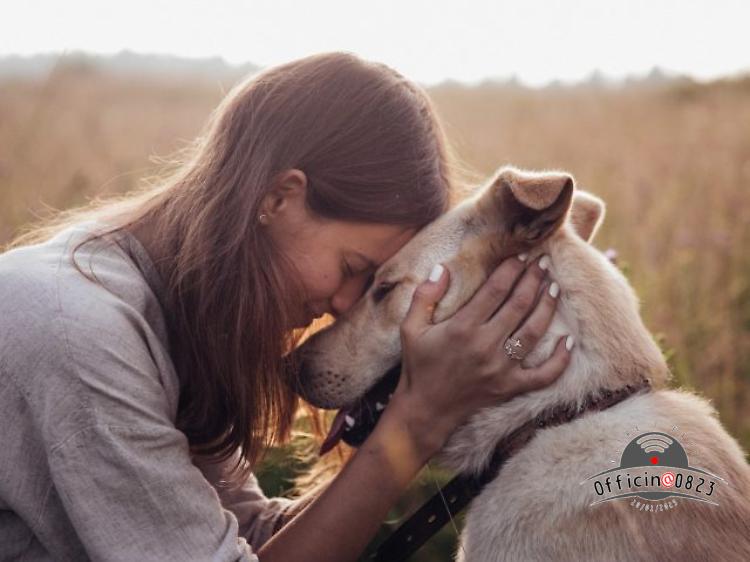 cane e padrone