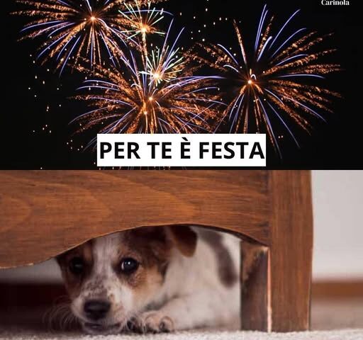 locandina contro i botti