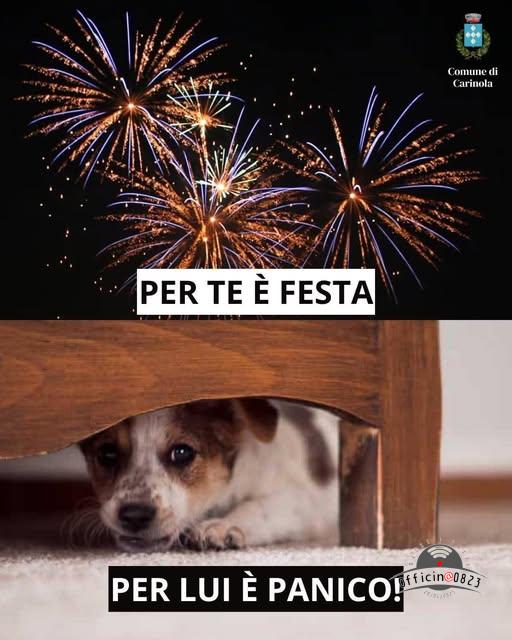 locandina contro i botti