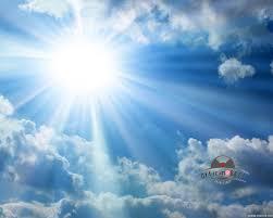 sole