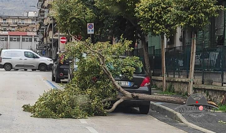 CASERTA