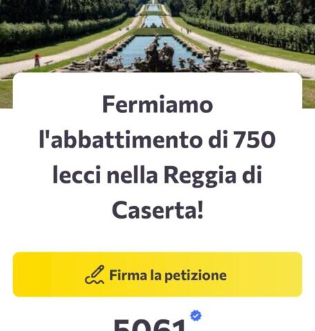 REGGIA
