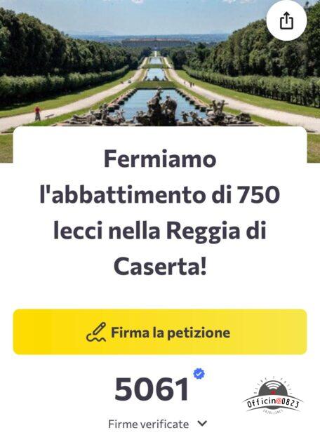 REGGIA