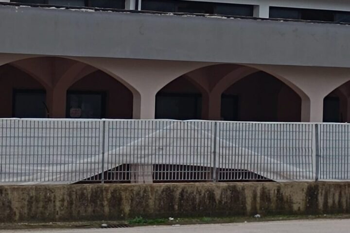 PIGNATARO