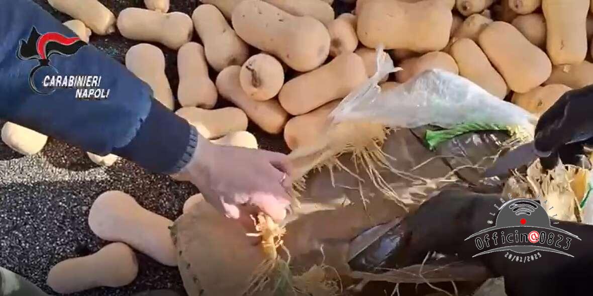 sequestro droga verdura
