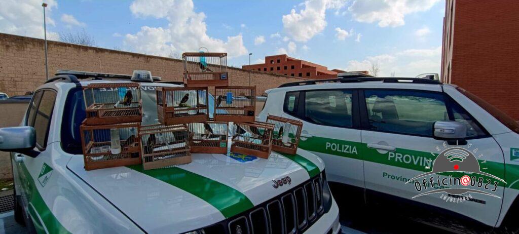 POLIZIAPROVCARDELLINI