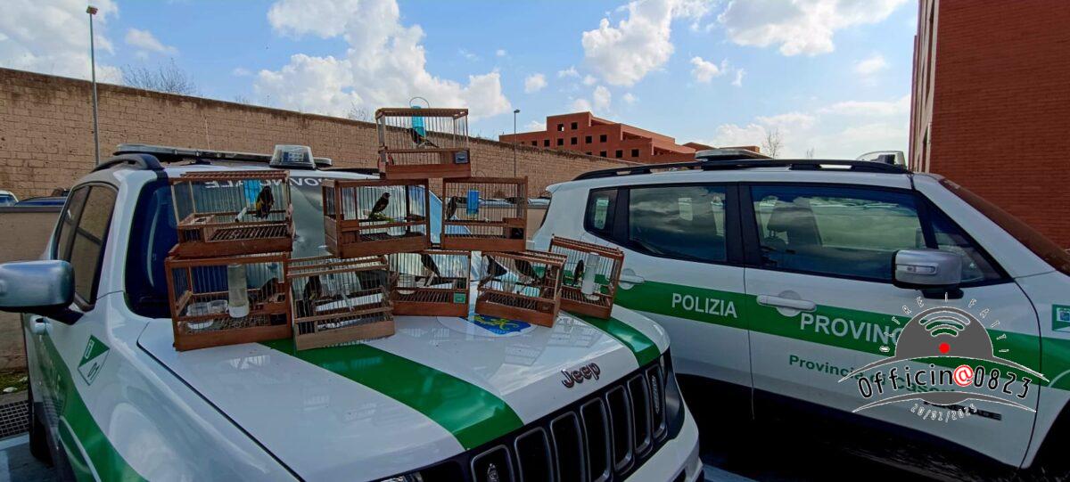 POLIZIAPROVCARDELLINI