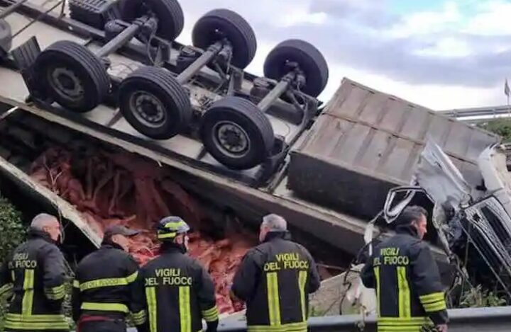 TIR PRECIPITATO