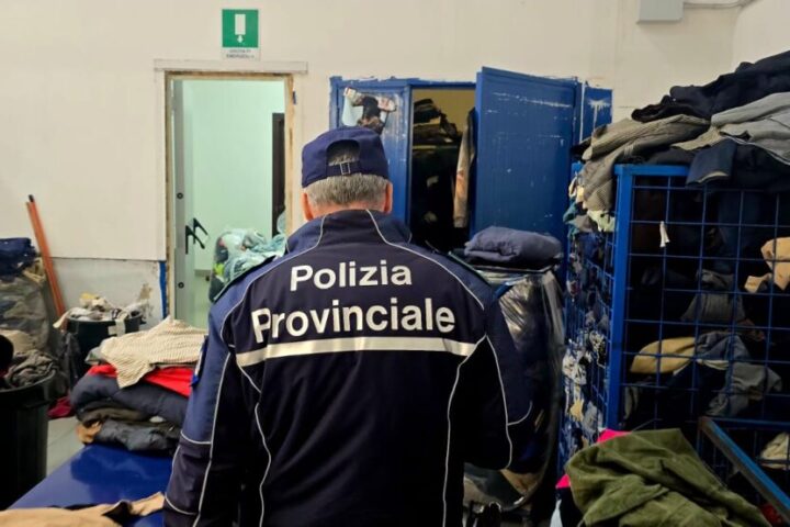 polprov pignataro