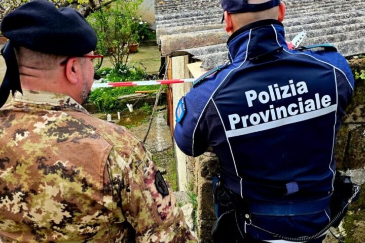 polprovcastmorr2
