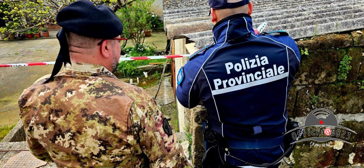polprovcastmorr2