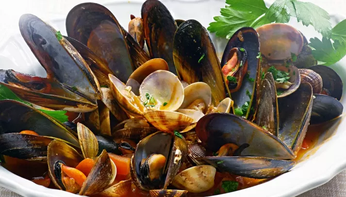 repertorio piatto