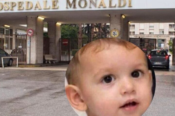 monaldi