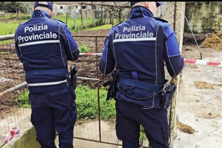 poliziaprov