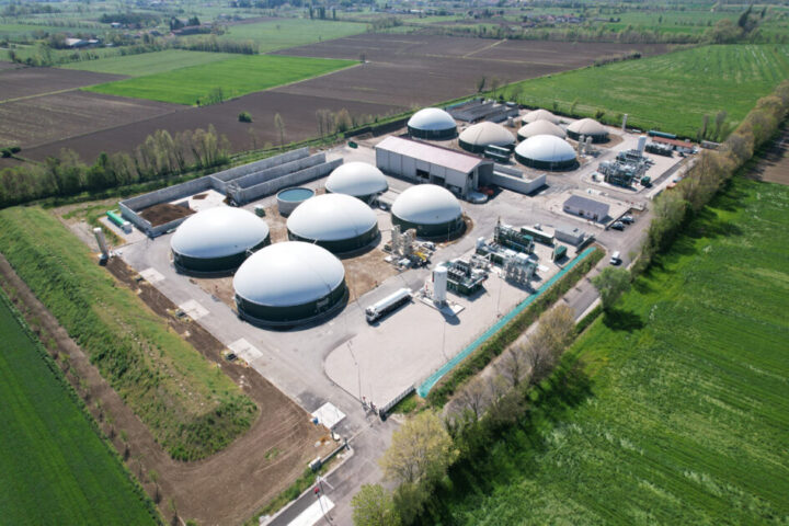 repertorio 6