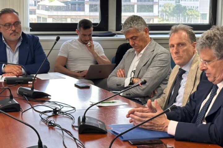 Presidente commissione ambiente