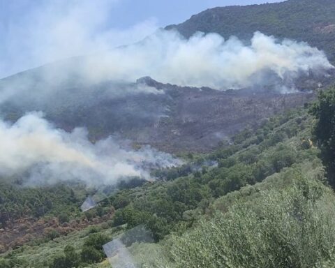monte massico