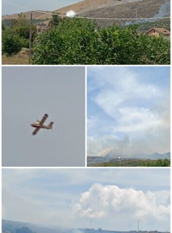 20260611 153220 COLLAGE