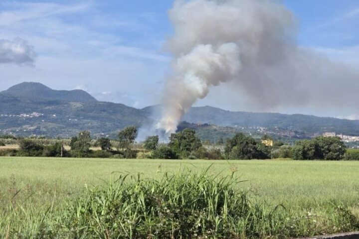 MONTE OFELIO