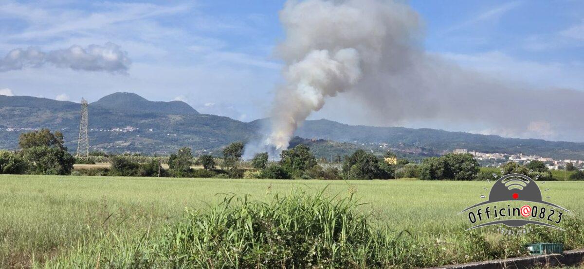 MONTE OFELIO