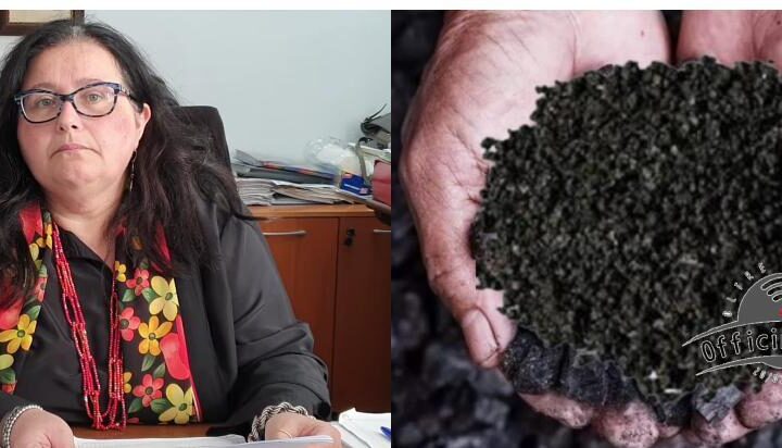ex sindaco e pet coke