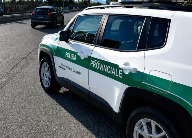 polprov domiz