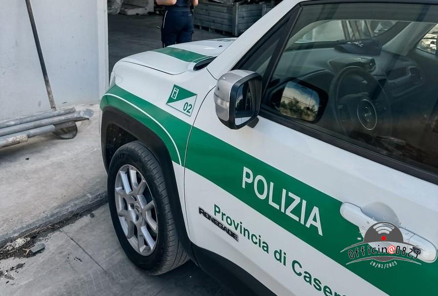 polprov maddaloni