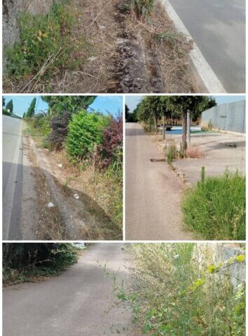 20260701 094629 COLLAGE