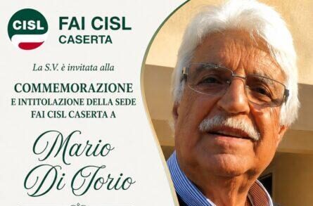 MARIO DI IORIO