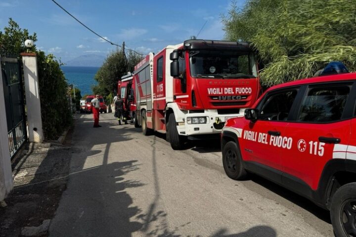 disperso