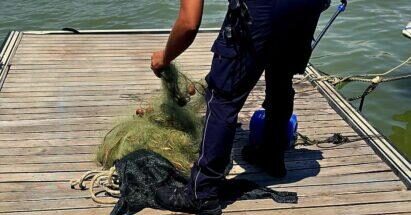 polprovretipesca