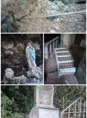 20260808 142636 COLLAGE