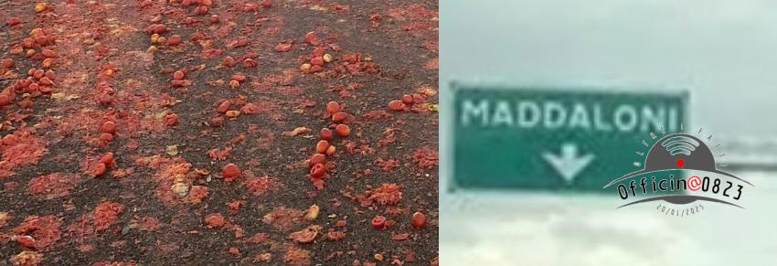 maddaloni